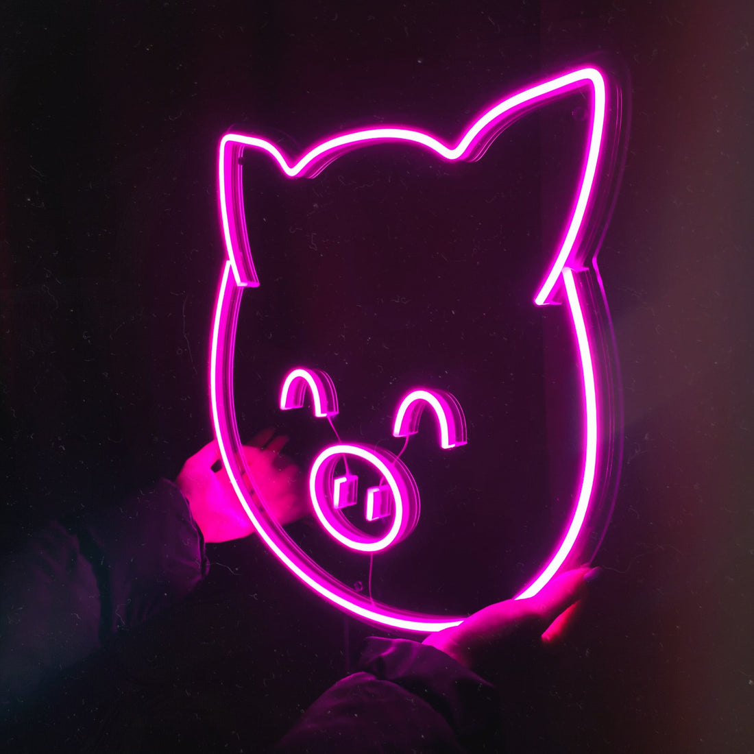 LED neon "Piglet 1"