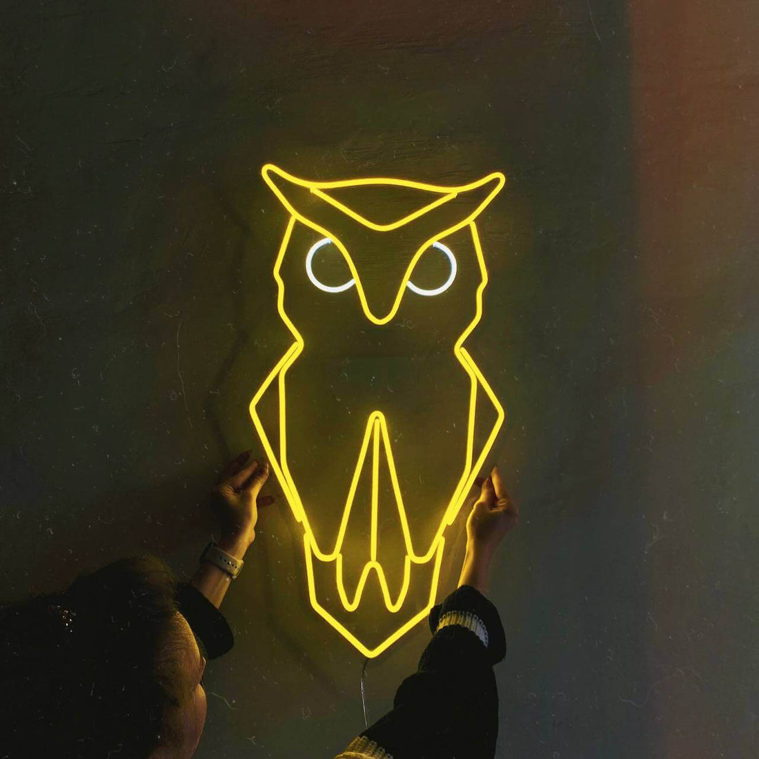 LED neon "Owl"